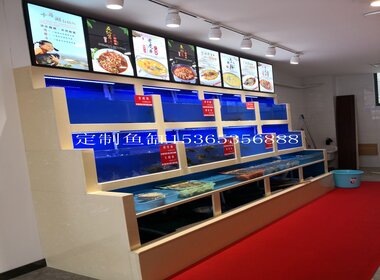 酒店飯店魚(yú)缸