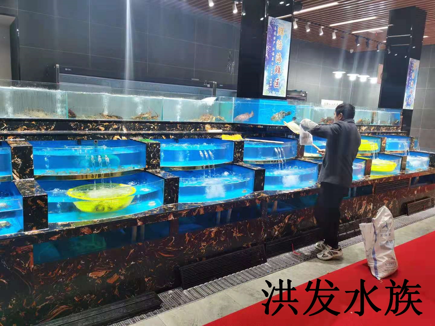 酒店魚缸